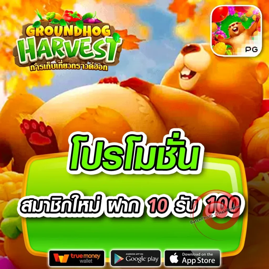 pg42 สล็อต ออนไลน์